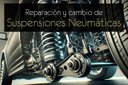 Expertos en suspensiones neumaticas.